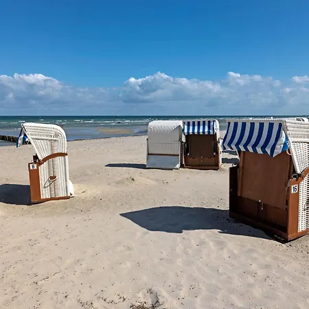 Haus Südwester Herzmuschel Apartamento