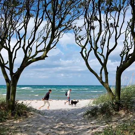 Apartamento Haus Südwester Herzmuschel